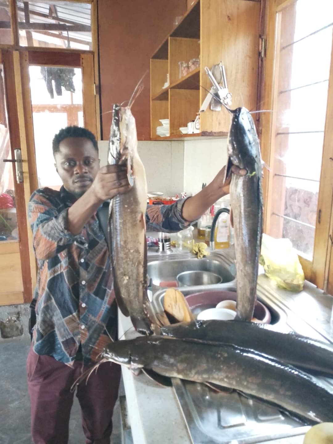 🐟 Actualité de la pisciculture chez Faja Lobi